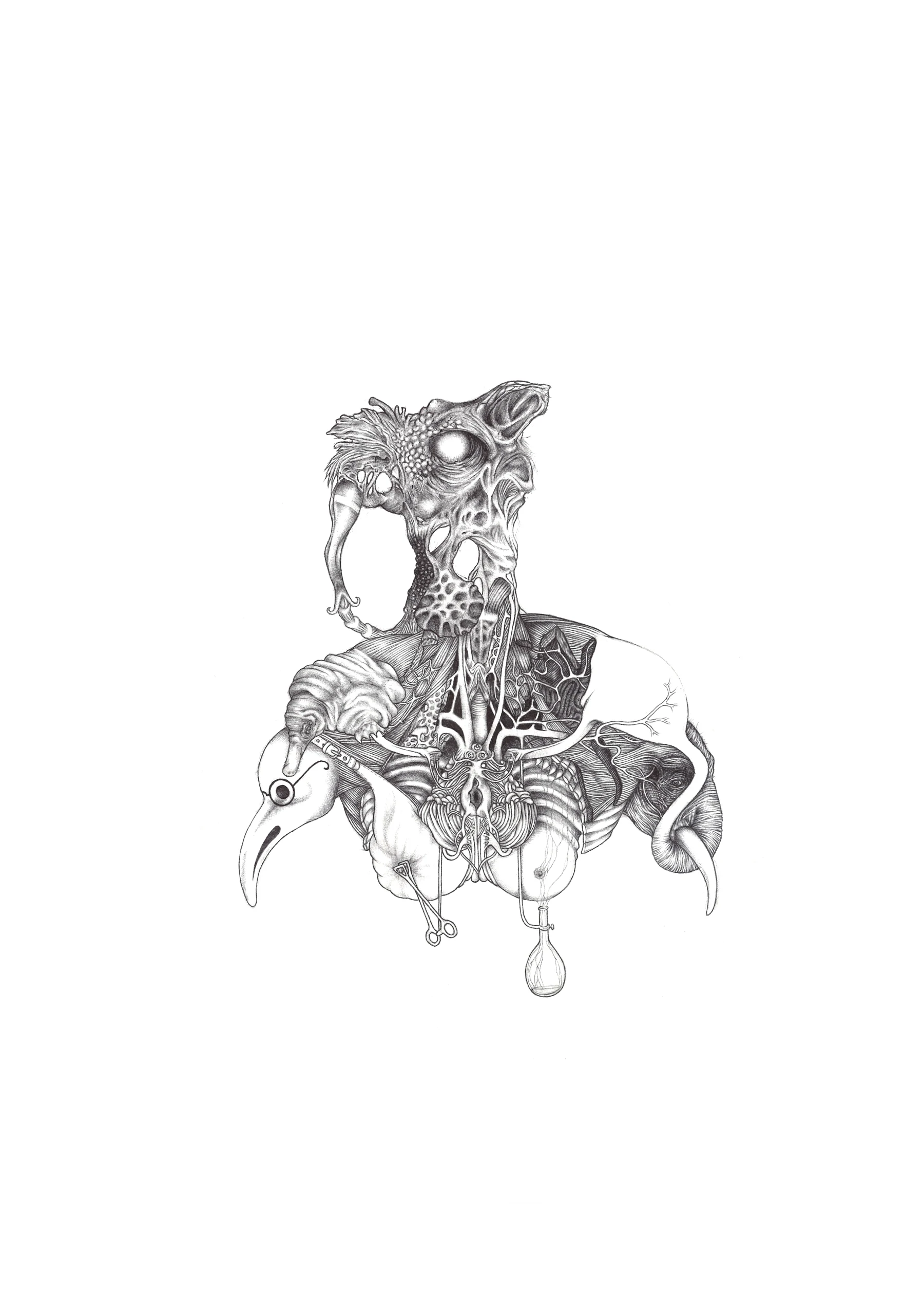 An intricate graphite creature combining a bird skull, bones, organs, and a suspended drop